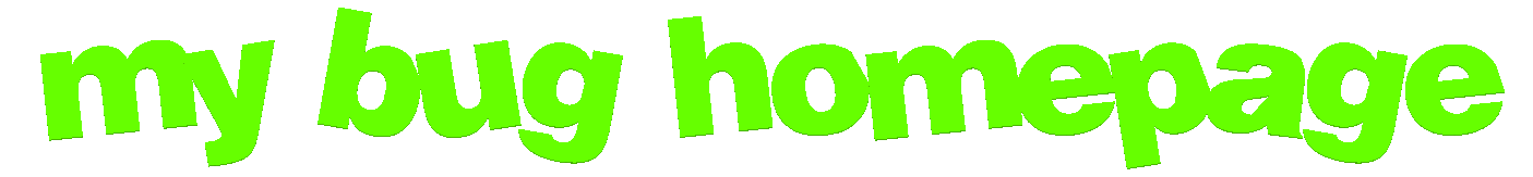 bug page